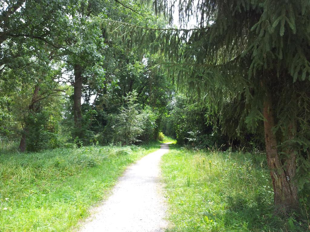 Spreewaldhaus Zum Schoberplatz Daire Lübben Dış mekan fotoğraf
