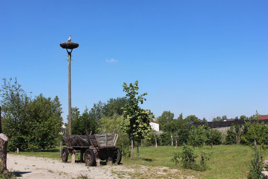 Spreewaldhaus Zum Schoberplatz Daire Lübben Dış mekan fotoğraf