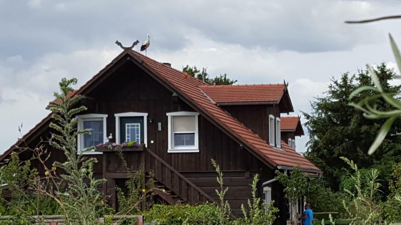 Spreewaldhaus Zum Schoberplatz Daire Lübben Dış mekan fotoğraf