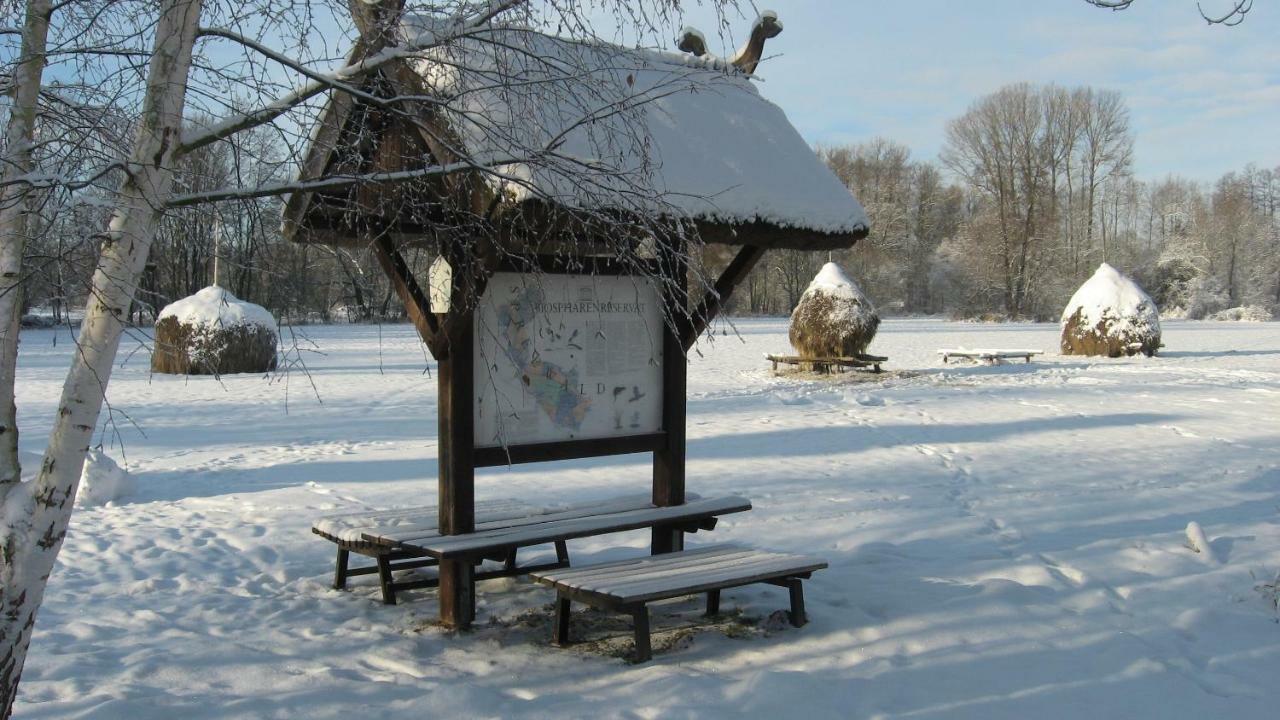 Spreewaldhaus Zum Schoberplatz Daire Lübben Dış mekan fotoğraf